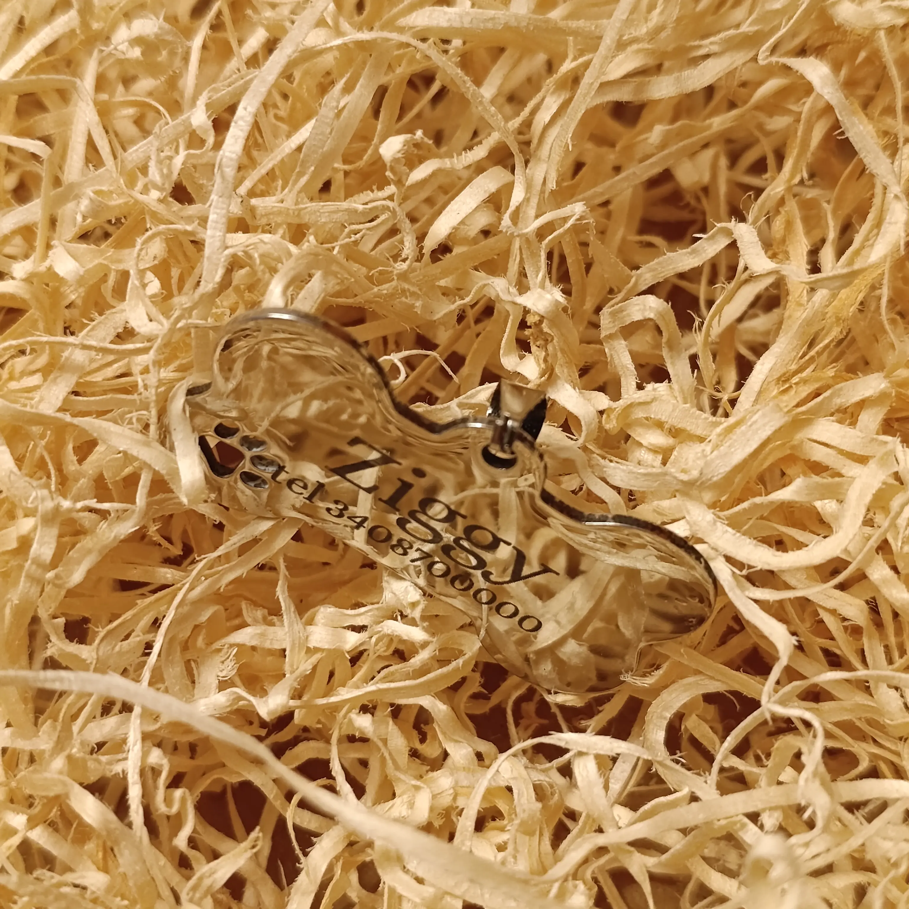 Targhetta cane in acciaio personalizzata a osso