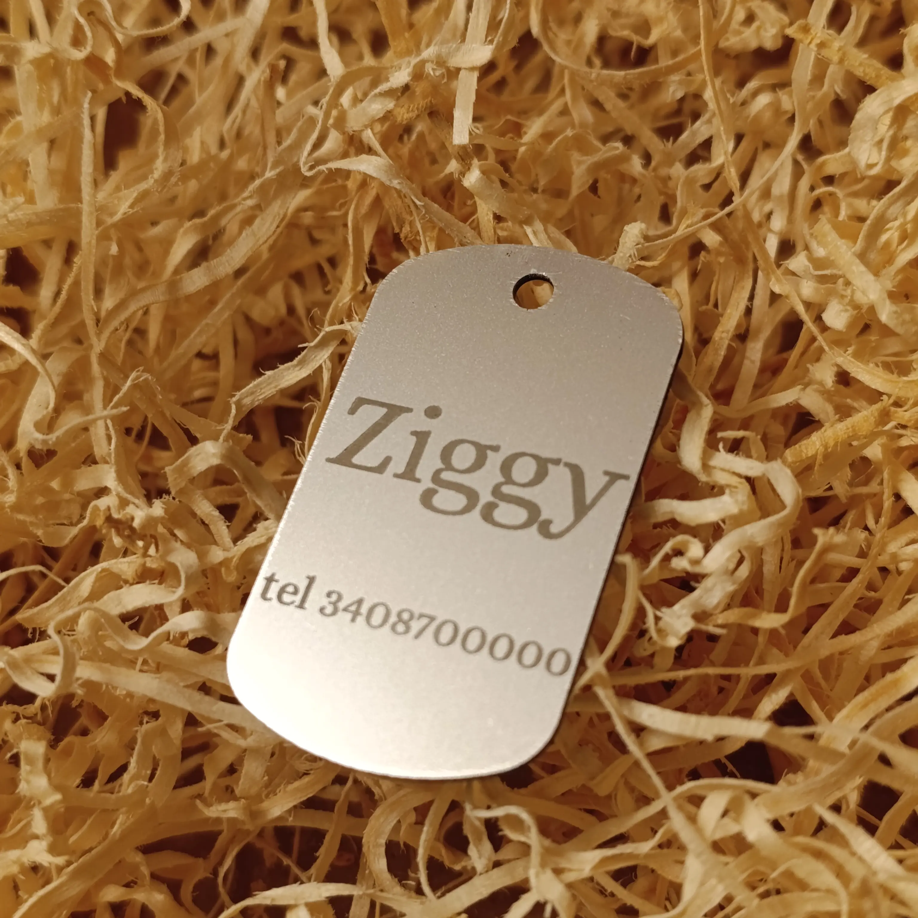 Targhetta cane in metallo a forma rettangolare