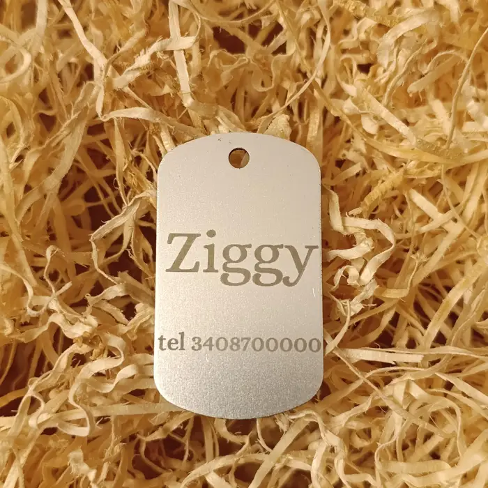 Acquista Targhetta cane in metallo a forma rettangolare - prodotti artigianali in legno e candele